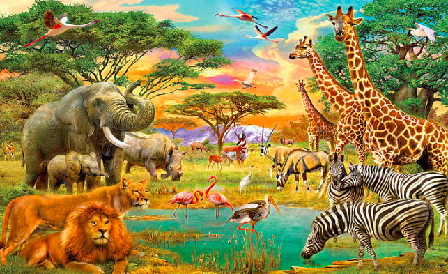 Wallpaper:_Hwojmo3fmi= Animals