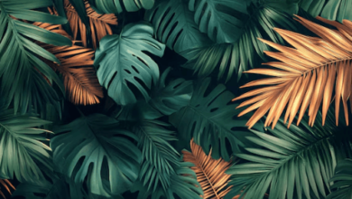 Wallpaper:042g9jisf5c= Tropical Background