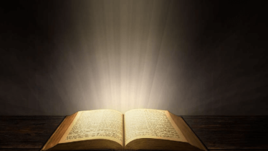 Wallpaper:5xc-Par3ytm= Bibble