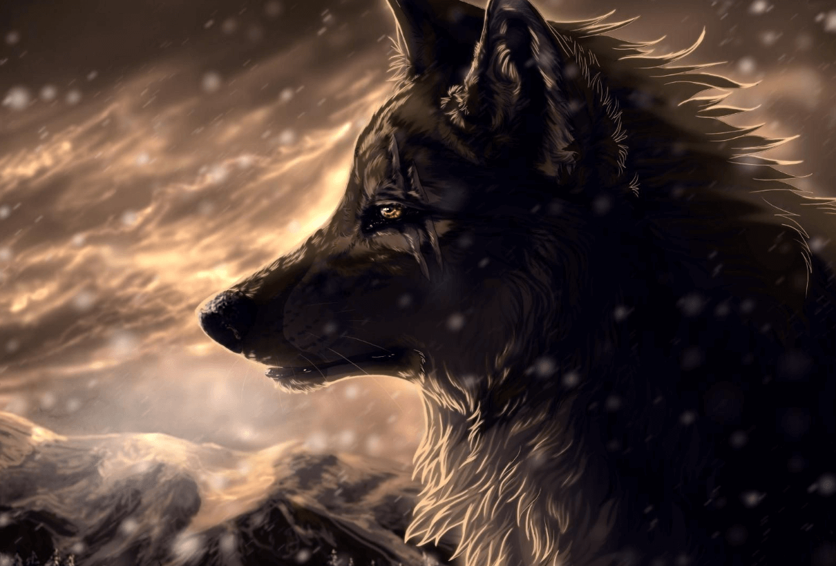 Wallpaper:8xsof43zhre= Cool:0tyklyeqt3u= Wolf