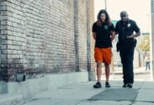 telecom oversight contact numbers