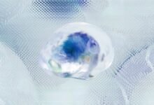 corporate data analysis request