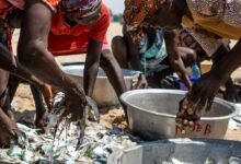 enterprise market activity overview