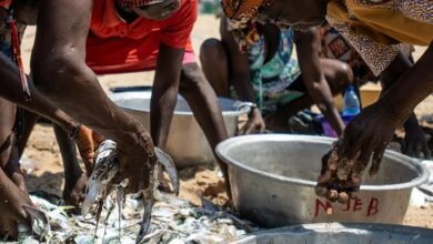 enterprise market activity overview