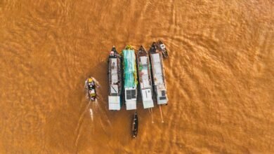 enterprise market activity summary