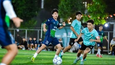 performance brief for codes