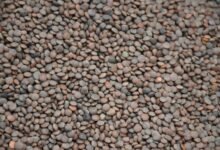 sector market analysis report